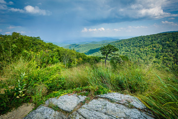 Fototapeta na wymiar View of the Blue Ridge Mountains from Skyline Drive in Shenandoa