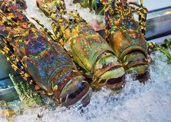 King lobsters on ice © arbalest