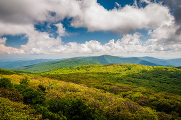 Obraz premium View of the Blue Ridge Mountains from Stony Man Mountain, in She