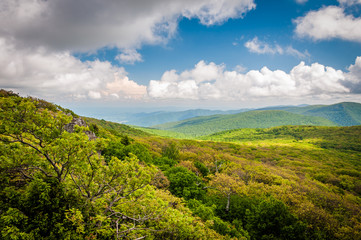 Fototapeta na wymiar View of the Blue Ridge Mountains from Stony Man Mountain, in She