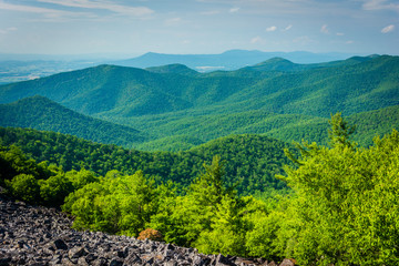 Fototapeta na wymiar View of the Blue Ridge from Blackrock Summit, in Shenandoah Nati