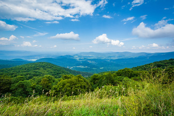Fototapeta na wymiar View of the Shenandoah Valley and Blue Ridge Mountains from Skyl