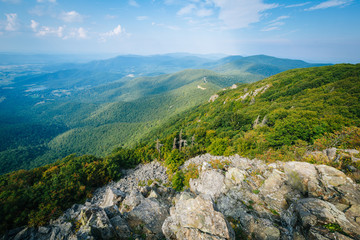 Fototapeta na wymiar View of the Shenandoah Valley and Blue Ridge from Stony Man Moun