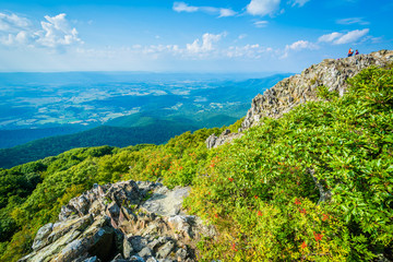 Fototapeta na wymiar View of the Shenandoah Valley and Blue Ridge from Stony Man Moun