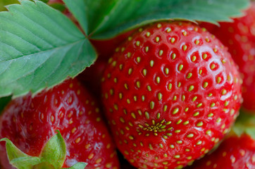 Strawberry