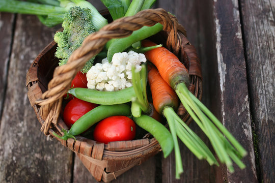 vegetables in basket harvest