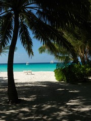 View of the beach from under the shade of a palm tree  -  Right now I have come out of my hut and intend to rent a boat. I'm skipper and not a bad  fisherman.