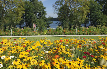 Obraz premium colorful flowers from northern germany