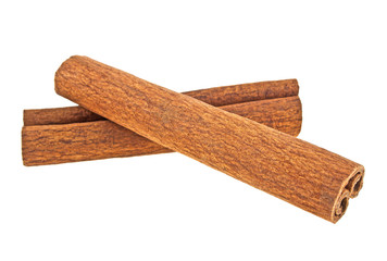 Two cinnamon sticks isolated on white background