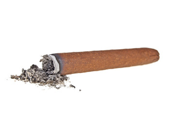 Brown cigar burned on white background