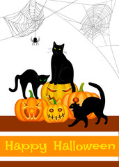 webs, black cat and pumpkins