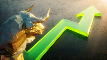 Bull Market Power 3