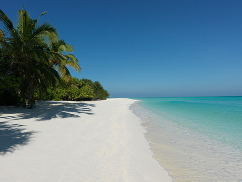 The white sandy beach under the shade of the jungle  -  Everyone should visit the Maldives, because each person must see paradise.