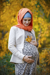 pregnant woman in a hijab
