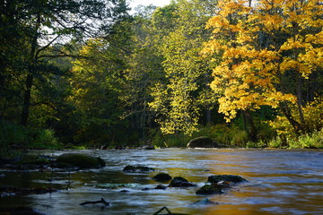 autumn at the river