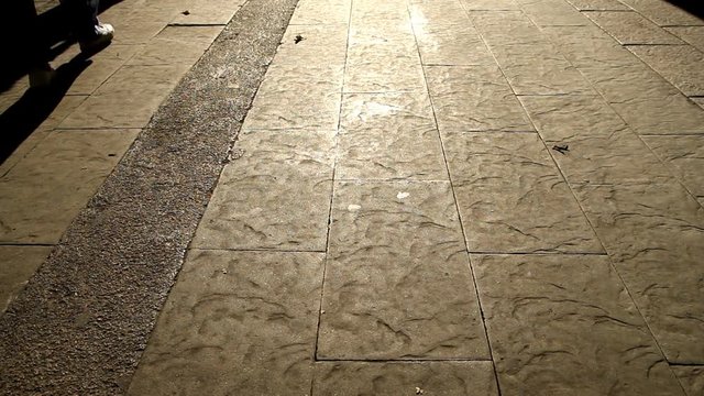 Moving shadows of walking people