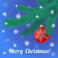 Christmas evergreen spruce tree and red glass ball