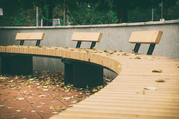 benches made of wood, benches in a semicircle, the leaves on the