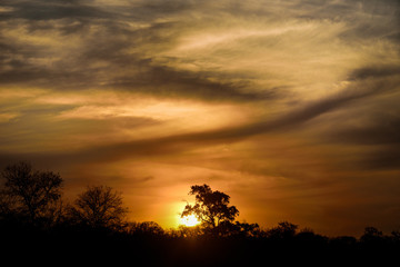 Fototapeta na wymiar Sunset at the Kruger 01