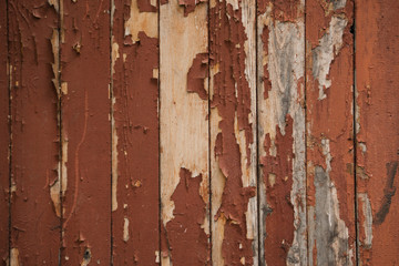 Wooden door, old lock, wood texture