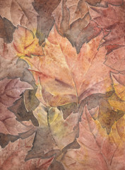background watercolor of pastel autumn leaves.