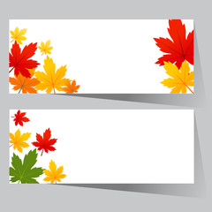 card with maple autumn leaves