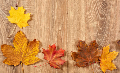 autumn frame from leaves on wood background