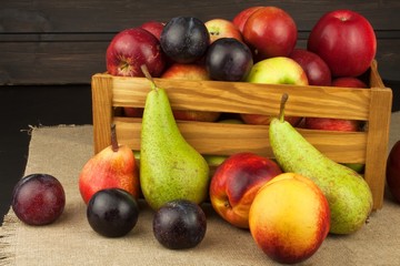 Plum and apples on wooden table. Autumn Fruits. Autumn harvest on the farm. A healthy diet for children.
