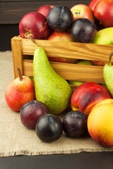 Plum and apples on wooden table. Autumn Fruits. Autumn harvest on the farm. A healthy diet for children.
