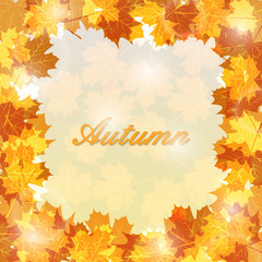 Autumn leaves background with glowing lights. Vector illustration