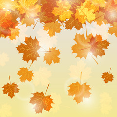 Autumn leaves background with glowing lights. Vector illustration