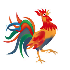 Image of a colorful, bright red cock come on a white background. Isolate illustration