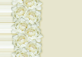 White peony flowers arrangement