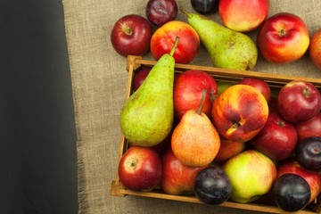 Plum and apples on wooden table. Autumn Fruits. Autumn harvest on the farm. A healthy diet for children.
