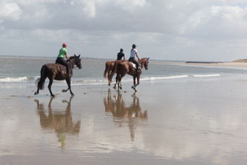 Picture of people, which is galloping on a horse of the sea at sunset