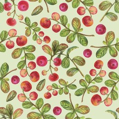 Watercolor pencils mushrooms and berries seamless pattern