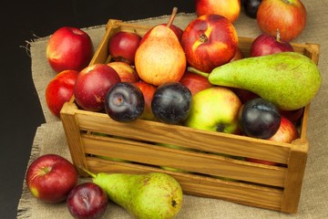 Plum and apples on wooden table. Autumn Fruits. Autumn harvest on the farm. A healthy diet for children.

