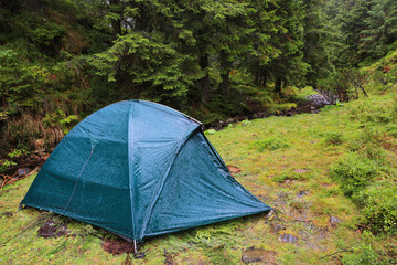 tourist tent in rainy forest © Pavlo Klymenko