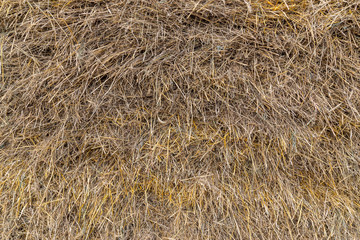 Pile of hay closeup background. Authentic farm series.