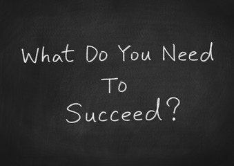 Obraz premium What do you need to succeed?