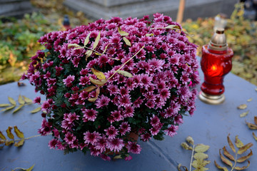 Cmentarz. Święto zmarłych