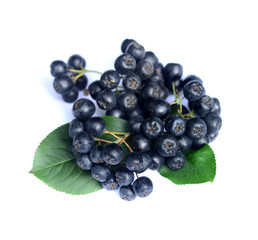 Chokeberry in closeup