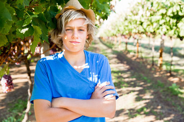Boy in vineyard
