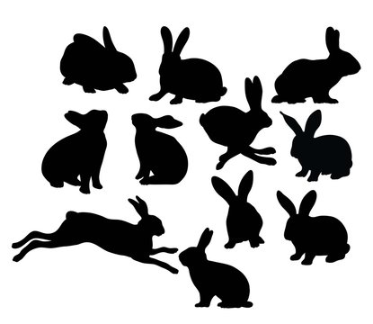 Rabbit Silhouettes, illustration art vector design