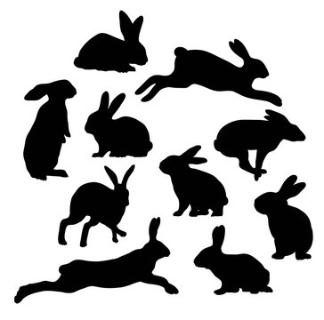Rabbit Activity Silhouettes, illustration art vector design