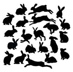 Cute Rabbit Silhouette Collection, illustration art vector design