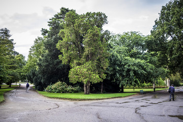 Two ways in Jardin des Plantes in Toulouse