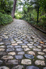 Obraz premium Jardin des plantes park in fall season