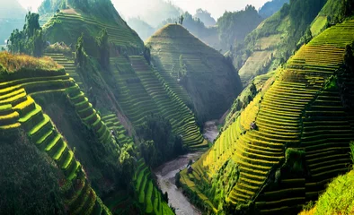Printed kitchen splashbacks Bali Rice fields on terraced in Northwest of Vietnam.