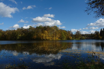 Fototapeta na wymiar Colorful autumn landscape.Nature background